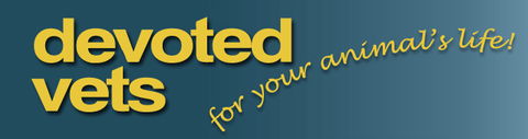 Devoted Vets - Vet Melbourne 0