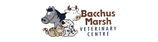 Newbury VIC Vet Melbourne