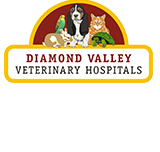 Eltham Central Veterinary Hospital - Vet Melbourne