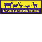 Seymour Veterinary Surgery - Vet Melbourne 0