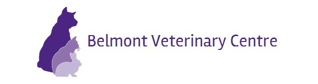 Belmont VIC Vet Melbourne