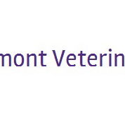 Belmont Veterinary Centre - Vet Melbourne