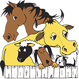 Stawell Veterinary Clinic - Vet Melbourne