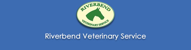 Niemur NSW Vet Melbourne