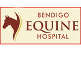 Bendigo Equine Hospital - Vet Melbourne