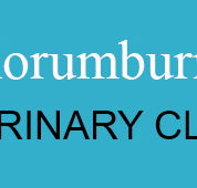 Korumburra Veterinary Clinic - Vet Melbourne