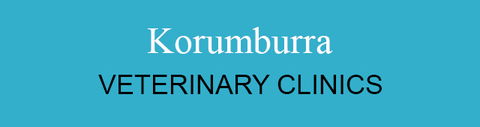 Korumburra Veterinary Clinic - Vet Melbourne 0