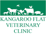 Kangaroo Flat Veterinary Clinic - Vet Melbourne