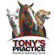 Cadello VIC Vet Melbourne