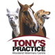 Tony's Practice Woodend - Vet Melbourne