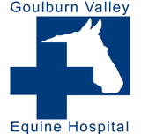 Goulburn Valley Equine Hospital - Vet Melbourne