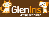 Glen Iris Veterinary Clinic - Vet Melbourne