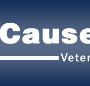 The Causeway Veterinary Clinic - Vet Melbourne