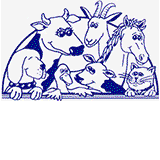 Mount Barker Summit SA Vet Melbourne