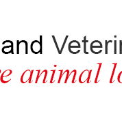 Riverland Veterinary Practice - Vet Melbourne