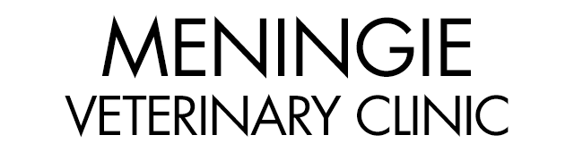 Meningie Veterinary Clinic - Vet Melbourne