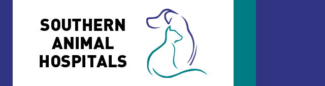 Morphett Vale SA Vet Melbourne