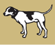 Motter Catherine - Vet Melbourne