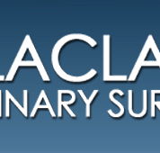Balaclava Veterinary Surgery - Vet Melbourne
