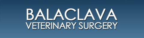 Balaclava Veterinary Surgery - Vet Melbourne 0