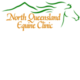 North Queensland Equine Clinic - Vet Melbourne