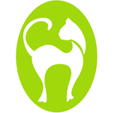 Tropical Queensland cat clinic - Vet Melbourne