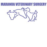 Eumamurrin QLD Vet Melbourne