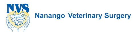 Nanango Veterinary Surgery - Vet Melbourne 0
