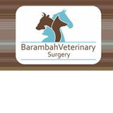  Vet Melbourne