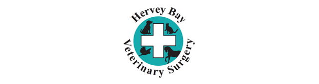 Eli Waters QLD Vet Melbourne