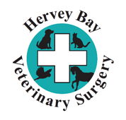 Hervey Bay Veterinary Surgery - Vet Melbourne