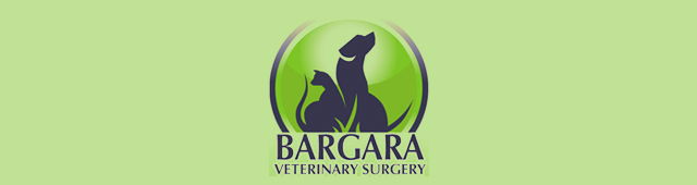 Norville QLD Vet Melbourne