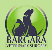 Bargara Veterinary Surgery - Vet Melbourne