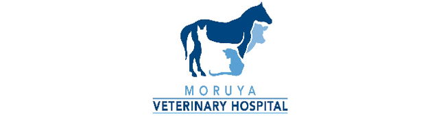 Eurobodalla NSW Vet Melbourne