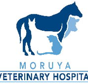 Moruya Veterinary Hospital - Vet Melbourne