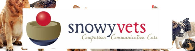 Numbla Vale NSW Vet Melbourne