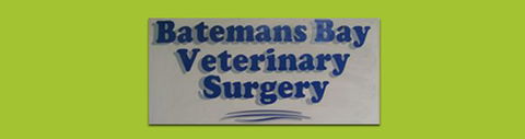 Batemans Bay Veterinary Surgery - Vet Melbourne 0
