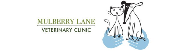 Nashdale NSW Vet Melbourne