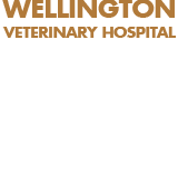 Wellington Veterinary Hospital - Vet Melbourne