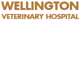 Wellington Veterinary Hospital - Vet Melbourne 0