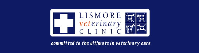 Nightcap NSW Vet Melbourne
