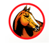 Equine Veterinary And Dental Services - Vet Melbourne