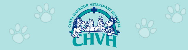 North Boambee Valley NSW Vet Melbourne