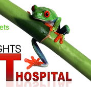 Erina Heights Veterinary Hospital - Vet Melbourne