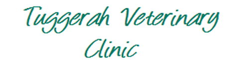 Tuggerah Veterinary Clinic - Vet Melbourne 0