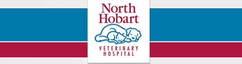North Hobart Veterinary Hospital - Vet Melbourne 0