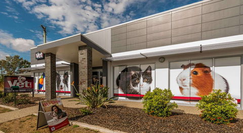 Bundaberg South Vet Clinic - Vet Melbourne 18