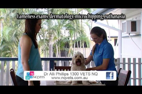NQ Vets Mobile - Vet Melbourne 9