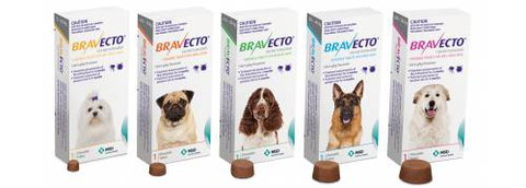 Burnett Mobile Vet - Vet Melbourne 6