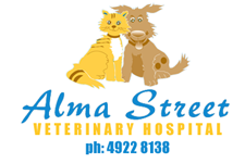  Vet Melbourne